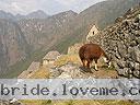 Machu-Picchu-020